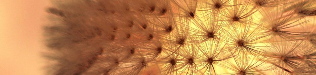 Finding relief from hay fever