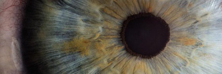 How do eyes work?