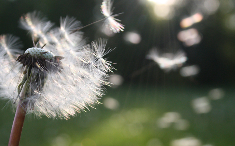 How to protect your eyes during hay fever season