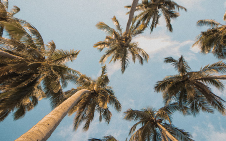 How to Protect Your Eyes in Summer
