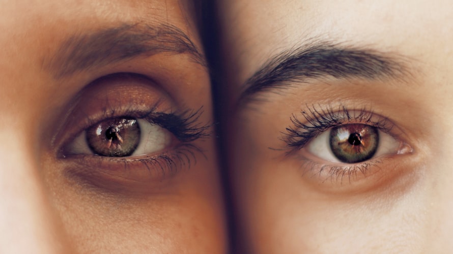 The Anatomy of the Human Eye